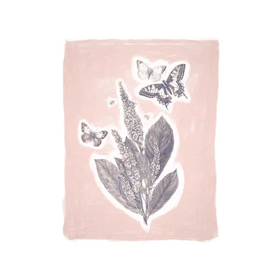 Colored Pencil Butterfly Plant Pink - Print on Canvas