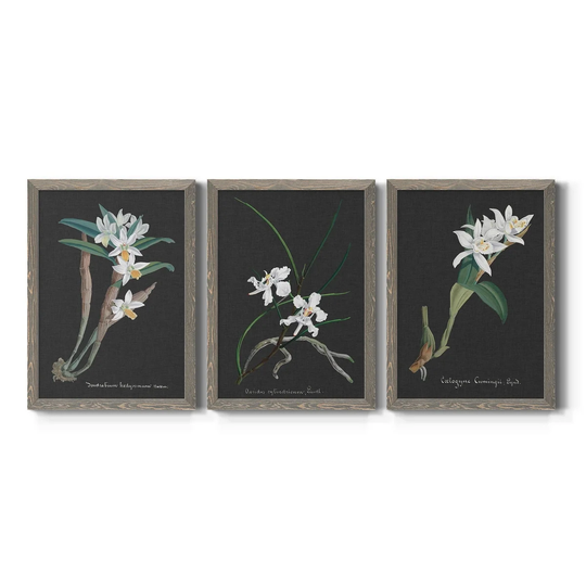 Orchid on Slate I-Premium Framed Canvas - Ready to Hang - Multi-Color