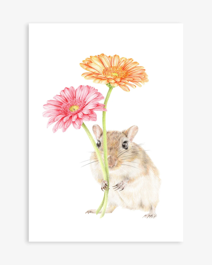 Gerald The Gerbil | Cute Animals, Gerbera Flowers, Pencil Drawing, Giclee Print