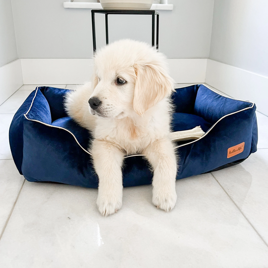 Navy Blue Sofa For Dogs & Cats. Luxury, Soft Pet Friendly Material. Waterproof Bed With Removable Covers. Cat Glamour Nest