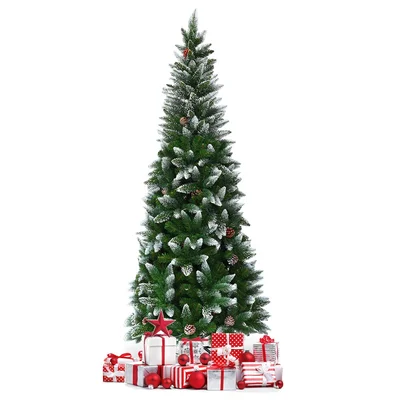 Slender Green Christmas Tree