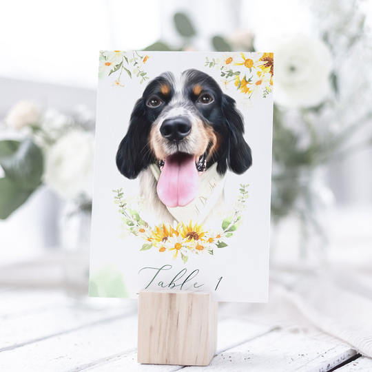 Daisies | Table Numbers, With Your Pet Illustration, Daisy Wedding, Wedding Decor, Daisies Decor