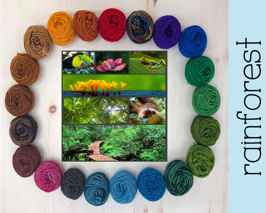 Wool Yarn Kit For Tapestry Weavers - Colors Of The Rainforest