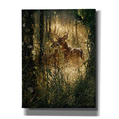 Millwood Pines 'A Golden Moment Portrait' By Collin Bogle, Canvas Wall Art