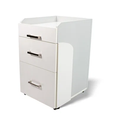 Seneca 2 Drawer Storage Chest