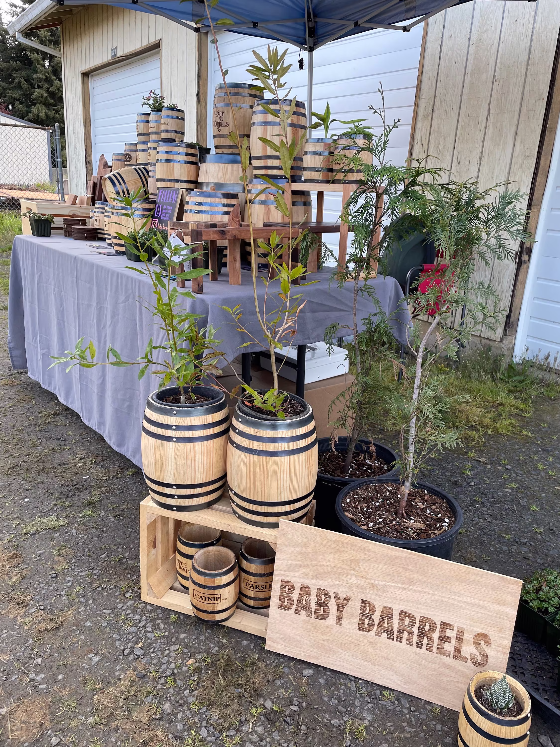 10 Liter Barrel For Wedding Centerpieces & Cards, Event Decor, Flowerpots, Planters, Firewood Storage