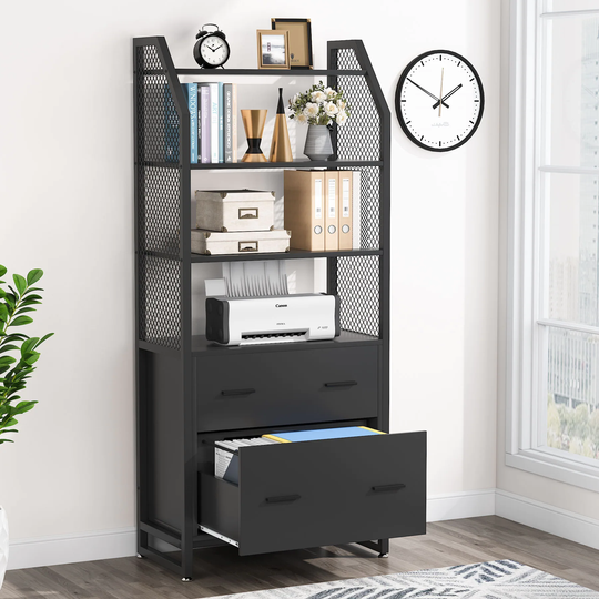 2 Drawer File Cabinet, Large Vertical Filing Cabinet for Letter/Legal/A4 Size