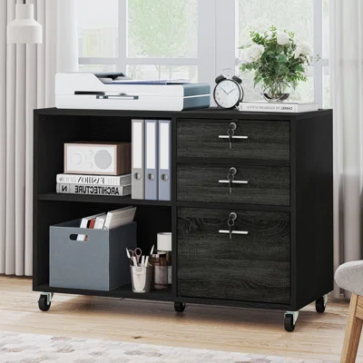 Haylee 3 -Drawer 2 - Shelf Filing Storage Cabinet
