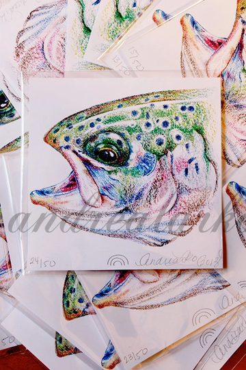 Limited Run Print Of A Yearling Rainbow Trout in Colored Pencil 5x5