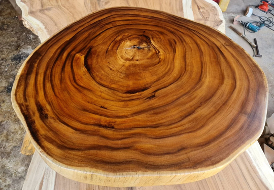Live Edge Round Coffee Table 37.5" X 33.5"X 17.5"Reclaimed Grade Aaa Thai Golden Acacia Wood Solid Cross Cut Slab W/Stainless Steel Leg Base