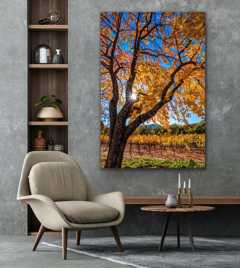 Colorful Tree Print, Fall Colors Wall Art, Napa Valley Photo