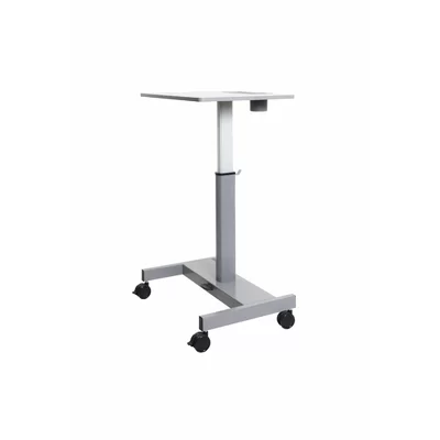 Metal 43" Standing Desk
