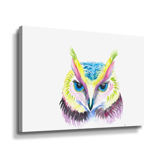 The Colorful Owl Gallery Wrapped Canvas