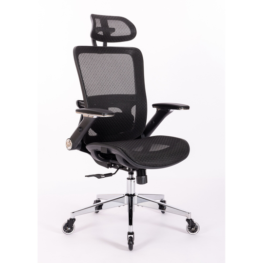 Ergonomic Mesh Office Chair with Adjustable Lumbar Support, Flip Armrests