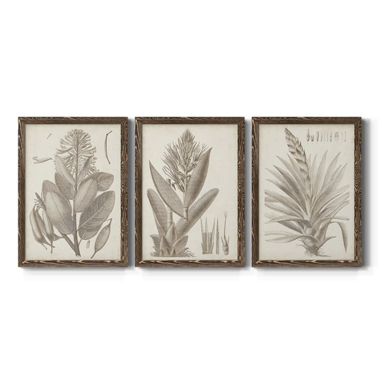 Sepia Exotic Plants I-Premium Framed Canvas - Ready to Hang - Multi-Color