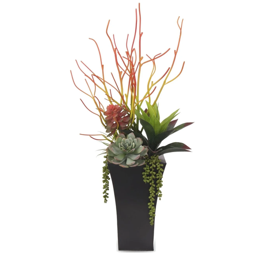 Pencil Cactus, Agave, Succulents Floral in Black Square Pot - Green - 16Wx12Dx20H