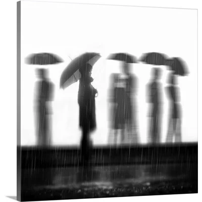 Straub 'In the Rain' by Antonyus Bunjamin Photographic Print