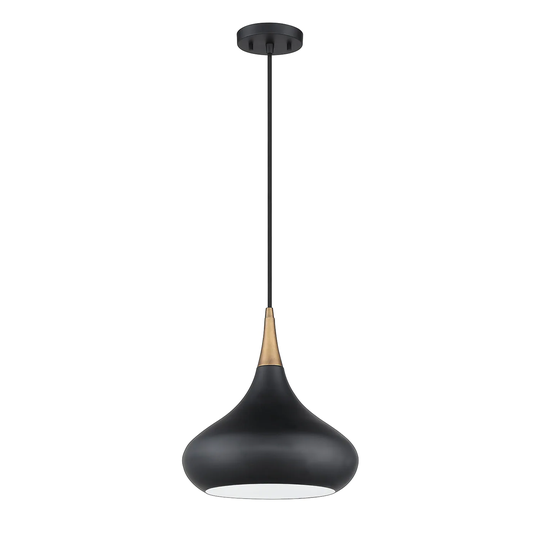 Medina 1-Light Black and Brass Pendant