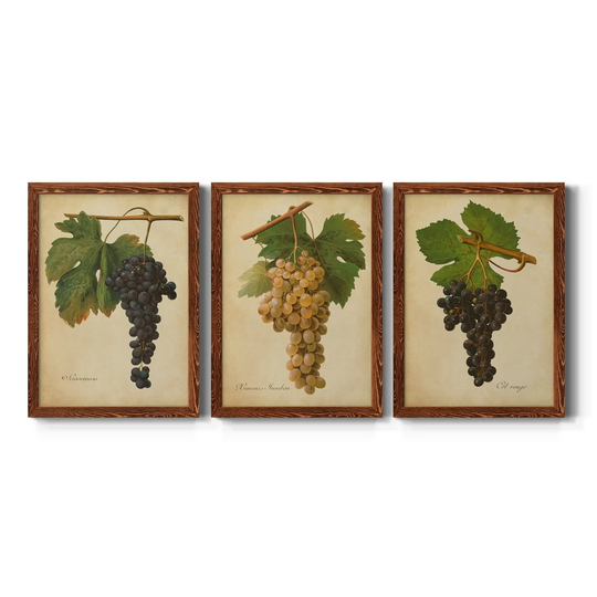 Vintage Vines II-Premium Framed Canvas - Ready to Hang - Multi-Color