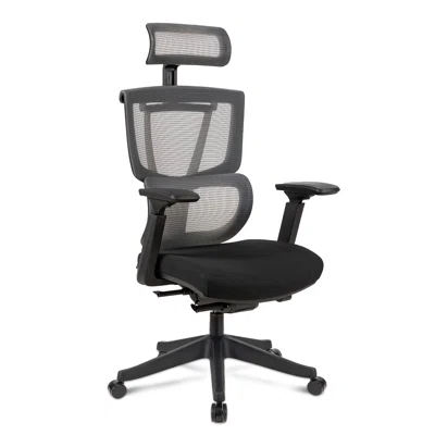 Ergonomic Home Office Chair, Mesh Office Desk Chair With Adaptive Lumbar Support, Adjustable 3D Armrest