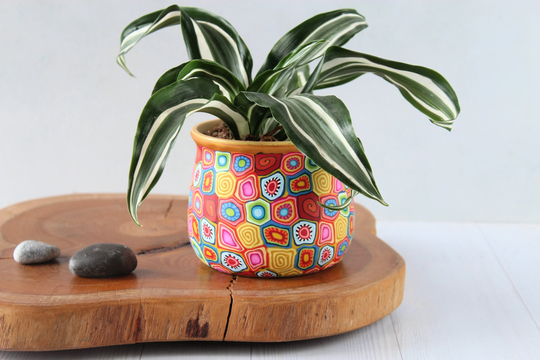Colorful Small Planter, Plant Pot With Drainage, Indoor Succulent End Of Year Teacher Gift, Mom Happy Decor
