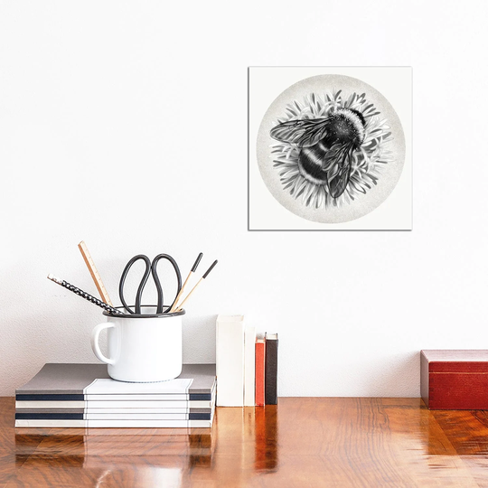 iCanvas "Bee On Cornflower In Pencil" by Vicki Hunt Canvas Print