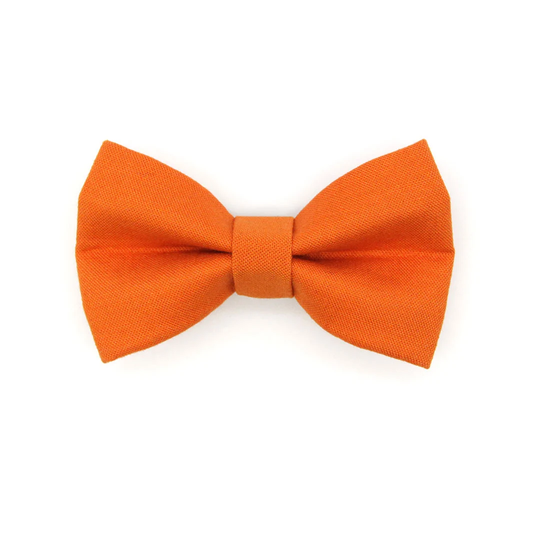 Cat Bow Tie - "Color Collection Orange" Solid Color Orange/Wedding Pet Bowtie Elastic Loop + Small Dog Size