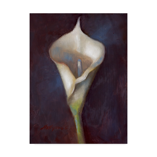 Hall Groat Ii 'Calla Lily White' Canvas Art - Multi-color