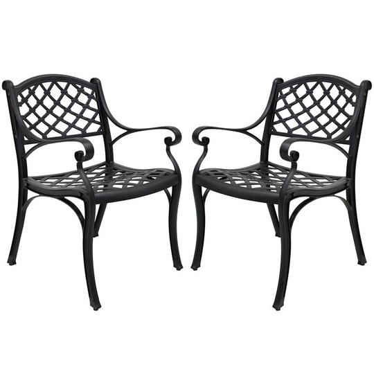 2 Piece Outdoor Dining Chairs, Cast Aluminum Chairs with Armrest