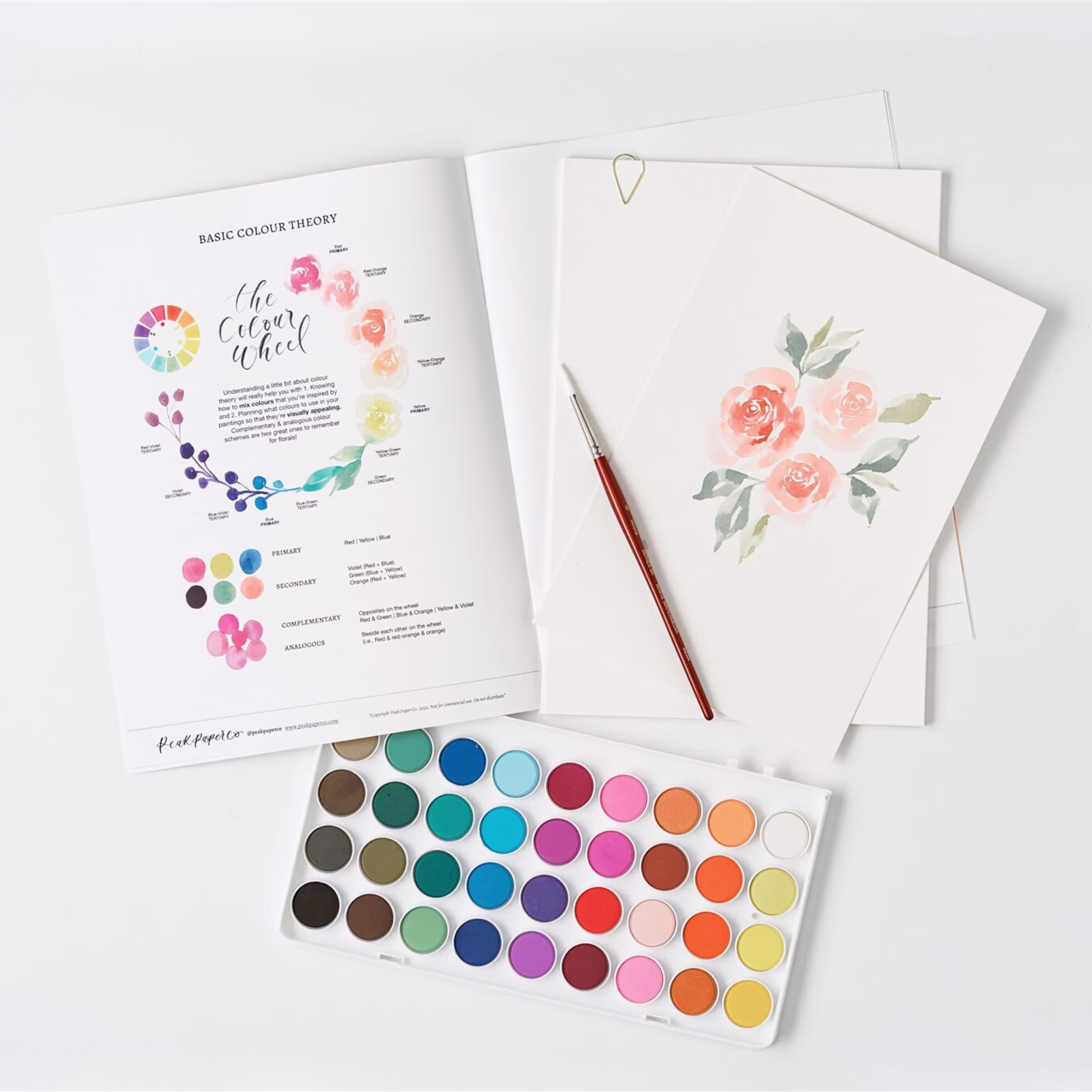 Watercolor Kit & Virtual Class For Beginners | Gifts Creatives Paint Set Florals Watercolour Art