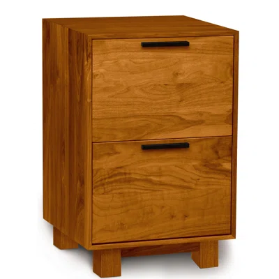 Linear Office Storage 2-Drawer Vertical Filing Cabinet