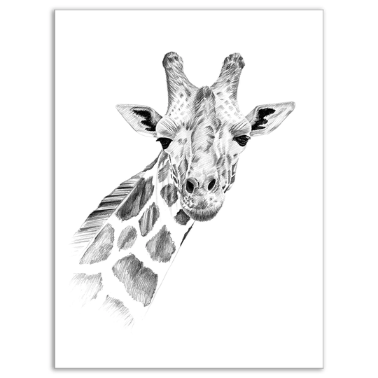Designart 'Pencil Giraffe Sketch in Black and White' Animals Print on Wrapped Canvas - White