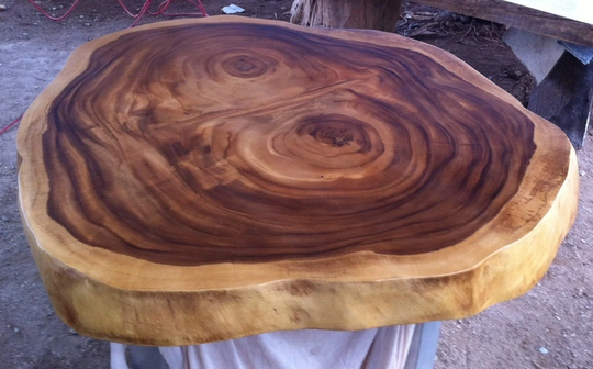 Live Edge Coffee Table 34" X 38" 17.5" Reclaimed Grade Aaa Golden Acacia Wood Solid Cross Cut Slab | Natural Shape(Custom Made