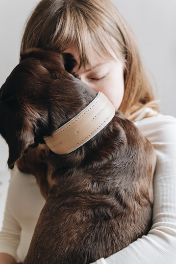 Wide Dog Collar, Whippet Windbound Padded Leather Felt Collar