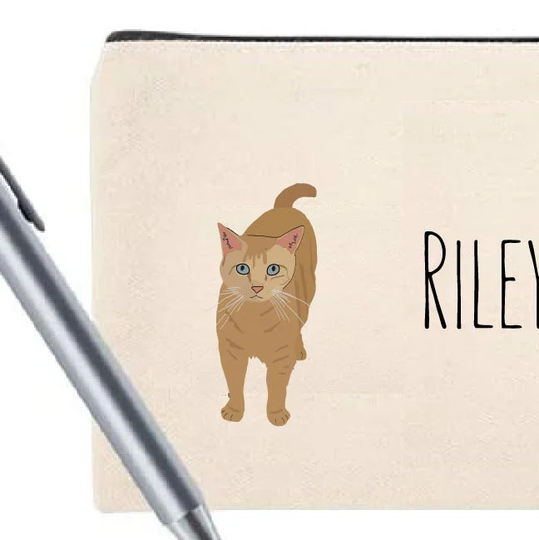 Orange Cat Cosmetic Bag | Travel Pencil Pouch Mask