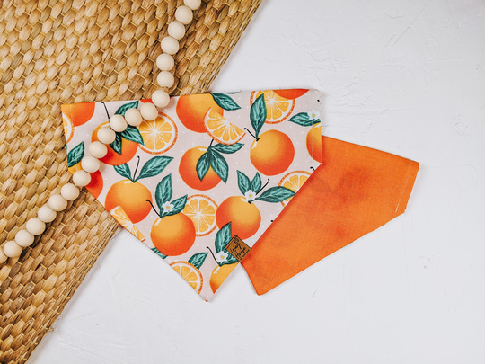 Main Squeeze Pet Bandana | Orange Dog Boho Summer Bandanas Clementine Accessories Fruit Reversible