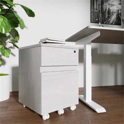 Techni Mobili Rolling Two Drawer Vertical Filing Cabinet With Lock And Storage, Grey