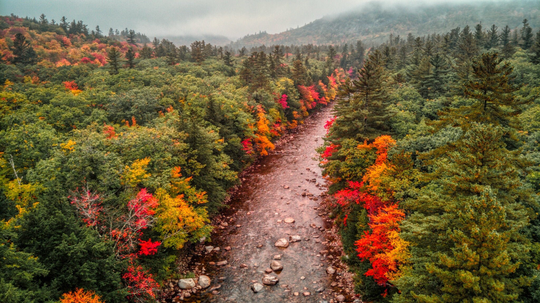 Nh Fall Colors & Mist @ Saco River - White Mountains Autumn | Foliage New England Landscape | Print|Canvas|Metal|Framed