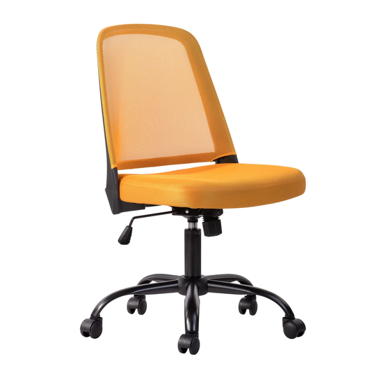 Homy Casa Modern Mesh Task Chair
