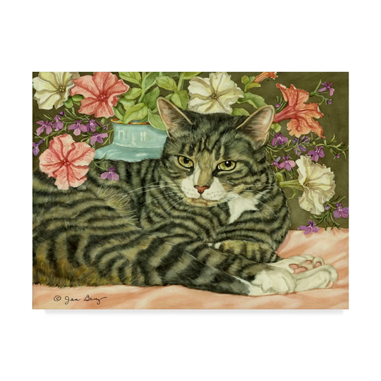Jan Benz 'Boo Gray Cat' Canvas Art - Multi-color