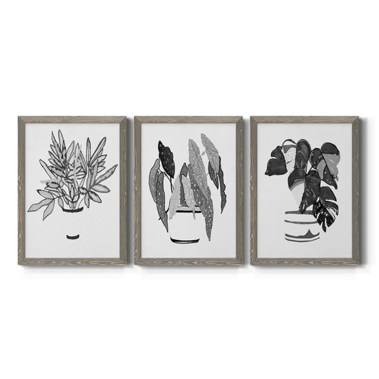 B&W Indoor Plant IV-Premium Framed Canvas - Ready to Hang - Multi-Color
