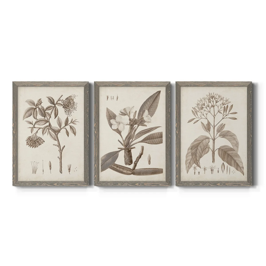 Antique Sepia Botanicals I-Premium Framed Canvas - Ready to Hang - Multi-Color