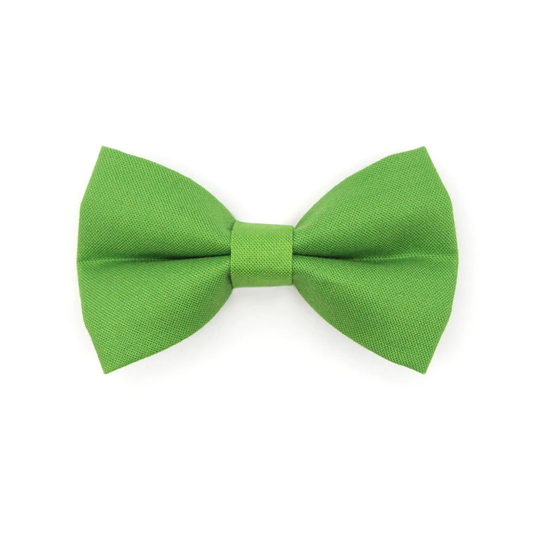 Cat Bow Tie - "Color Collection Apple Green" Solid Color Green/Wedding Pet Bowtie Elastic Loop + Small Dog Size