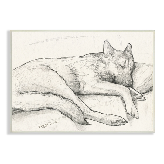 Stupell Industries Dog Curled Up Resting Detailed Graphite Pencil Drawing Wood Wall Art, Design by George Dyachenko - Off-White
