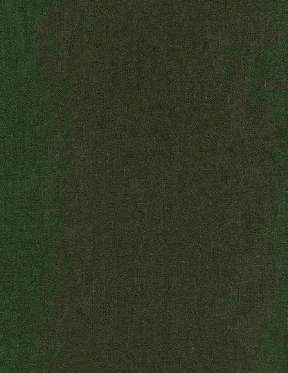 Solid Color - Military Green Timeless Treasures Soho | Dark Olive By The Half Yard