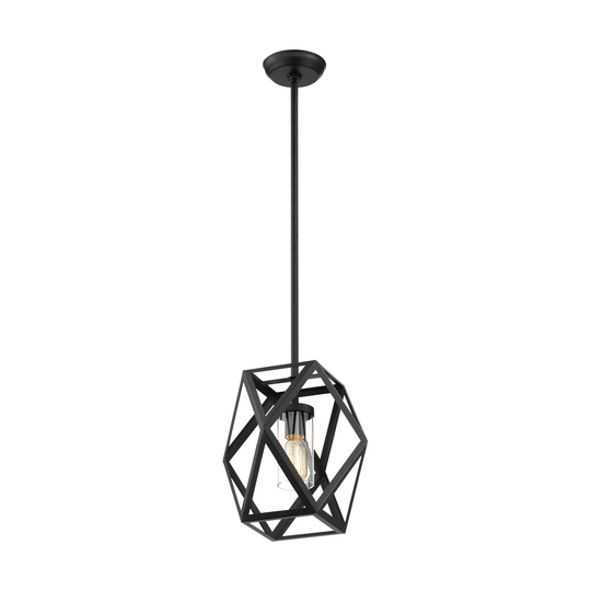 Zemi 1-Light Mini Pendant Fixture - Black Finish with Clear Glass