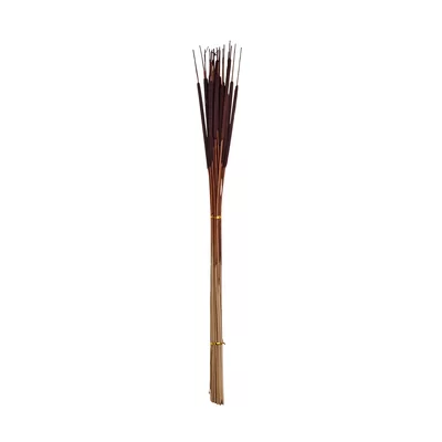Pencil Cattail Stem