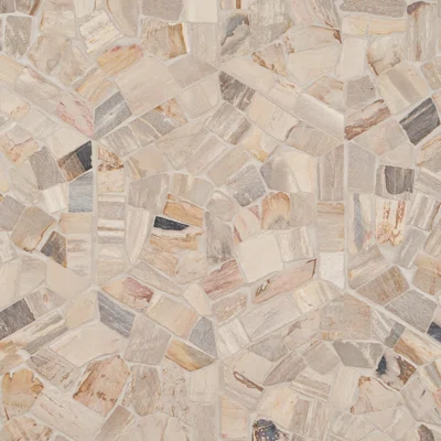 Dixiewood Hexagon Brown 10 in. x 10 in. Petrified Wood Floor and Wall Mosaic Tile