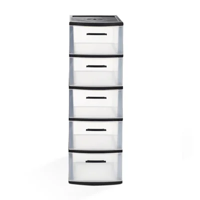 Northville 5 Drawer Storage Chest