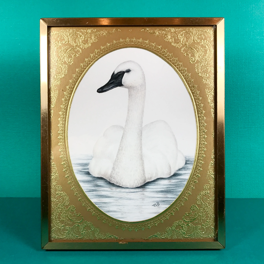 Swan Colored Pencil Drawing in A Gold Ornate Frame, Gifts For Birders, Nature Lovers, Lake Home, Nursery, Baby's Room, Alaska Lovers